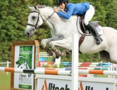 Show Jumping Training With Hans – Riding Tips 2