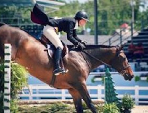 Hans Critiques Jumping Positions – Riding Tips 3