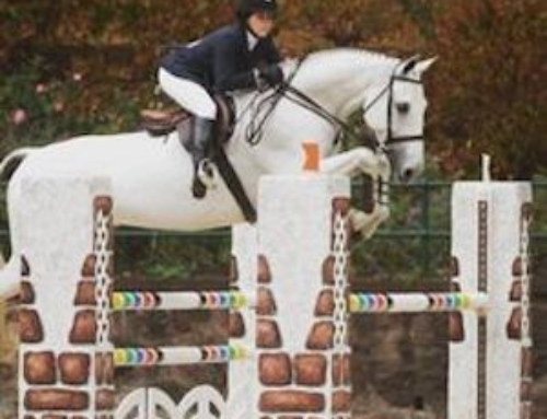 The Perfect Show Jumping Position – Riding Tips 4